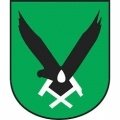 Escudo del Jastrzębie