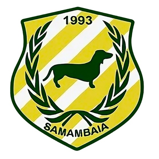 Samambaia
