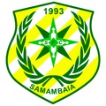 Escudo Samambaia