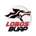 Lobos Prepa