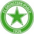 Escudo del Grünstern