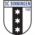 Escudo del Binningen