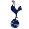 Tottenham Hotspur Sub 21