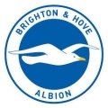 Escudo del Brighton & Hove Sub 21