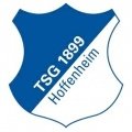 Escudo del Hoffenheim Sub 19