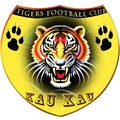 Azam Tigers