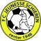 Club crest