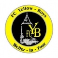 Yellow Boys Weiler?size=60x&lossy=1
