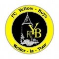 Escudo del Yellow Boys Weiler