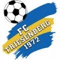 Escudo del Triesenberg