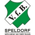 Escudo del Speldorf