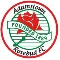 Adamstown Rosebuds