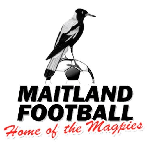Escudo del Maitland