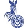 Escudo del Duisburg Fem