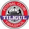 Escudo Tiligul Tiraspol