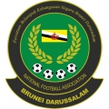 Tebuan Muda
