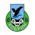 Escudo del FC Kobrin