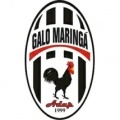 Adap Galo Maringá