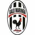 Galo Maringá