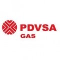 Escudo del PDVSA Gas
