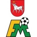 Escudo del NFA Kaunas