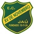 Escudo del XV de Novembro