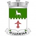 Escudo del Lagodekhi FC