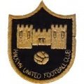 Escudo del Halkyn United