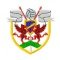 Bryntirion Athletic