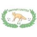 Escudo del Gwynfi United