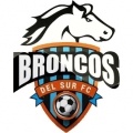 Broncos del Sur