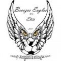 Escudo del Breezes Eagles