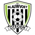 Blauwvoet Otegem