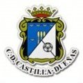 Escudo del Castilla  Dueñas