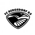 Escudo del Bergedorf 85