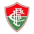 Escudo del Fluminense MG