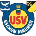 Escudo del Eschen/Mauren II