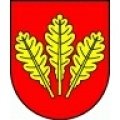 Escudo del Nová Dubnica