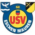 Escudo del Eschen/Mauren III