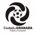C.D. Ciudad De Granada F.F.