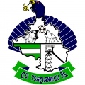 Tsacianiegu