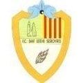 Escudo del Pª Barc Sant Vicenç Horts B