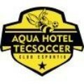 Escudo del Aqua Hotel Futbol Club B