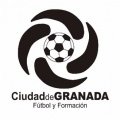 Escudo del CD Ciudad de Granada