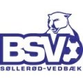 Escudo del BSV Søllerød