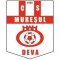 club crest