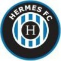 Escudo del Fundacion Privada Hermes D