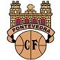 Escudo del Pontevedra CF
