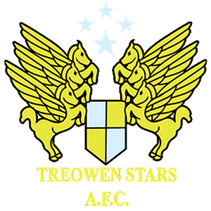 Treowen Stars