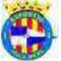 Escudo del Esportiu Vila Real E